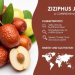 Žižole: A Comprehensive Guide to Its Characteristics and Habitat