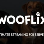 Wooflix: The Ultimate Streaming Service for Dog Lovers